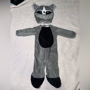 Spirit Gray and Black Raccoon Kids Costume